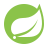 Spring Boot Spring Boot